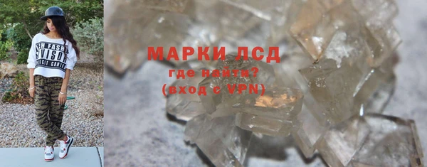 сатива Арсеньев