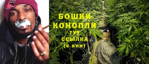 сатива Арсеньев