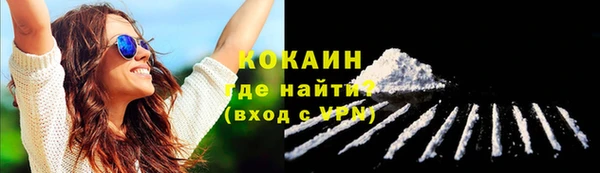 mdpv Протвино