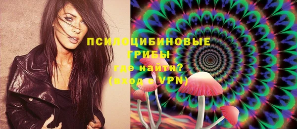 спиды Аркадак