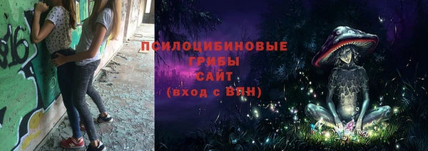 спиды Аркадак